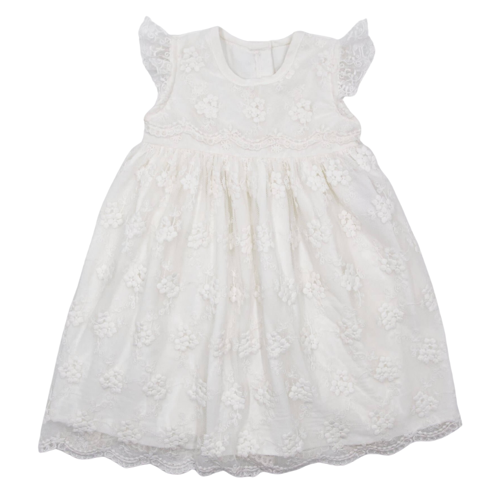 Meerkat Daisy Vintage Lace Short Sleeve Dress