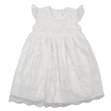 Meerkat Daisy Vintage Lace Short Sleeve Dress