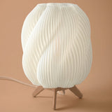 FEM Ateljee Warrelwind Lamp
