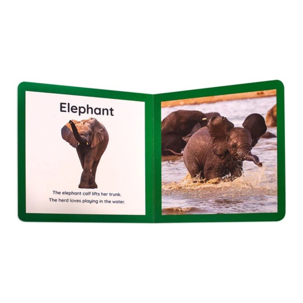 My First Book of the Big Five