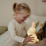 Little Dutch Baby Nightlight