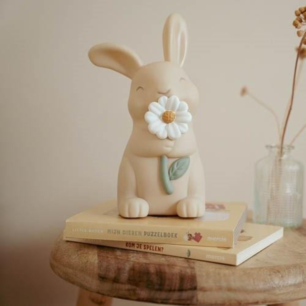 Little Dutch Baby Nightlight