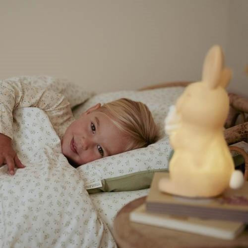 Little Dutch Baby Nightlight