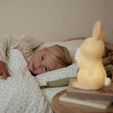 Little Dutch Baby Nightlight