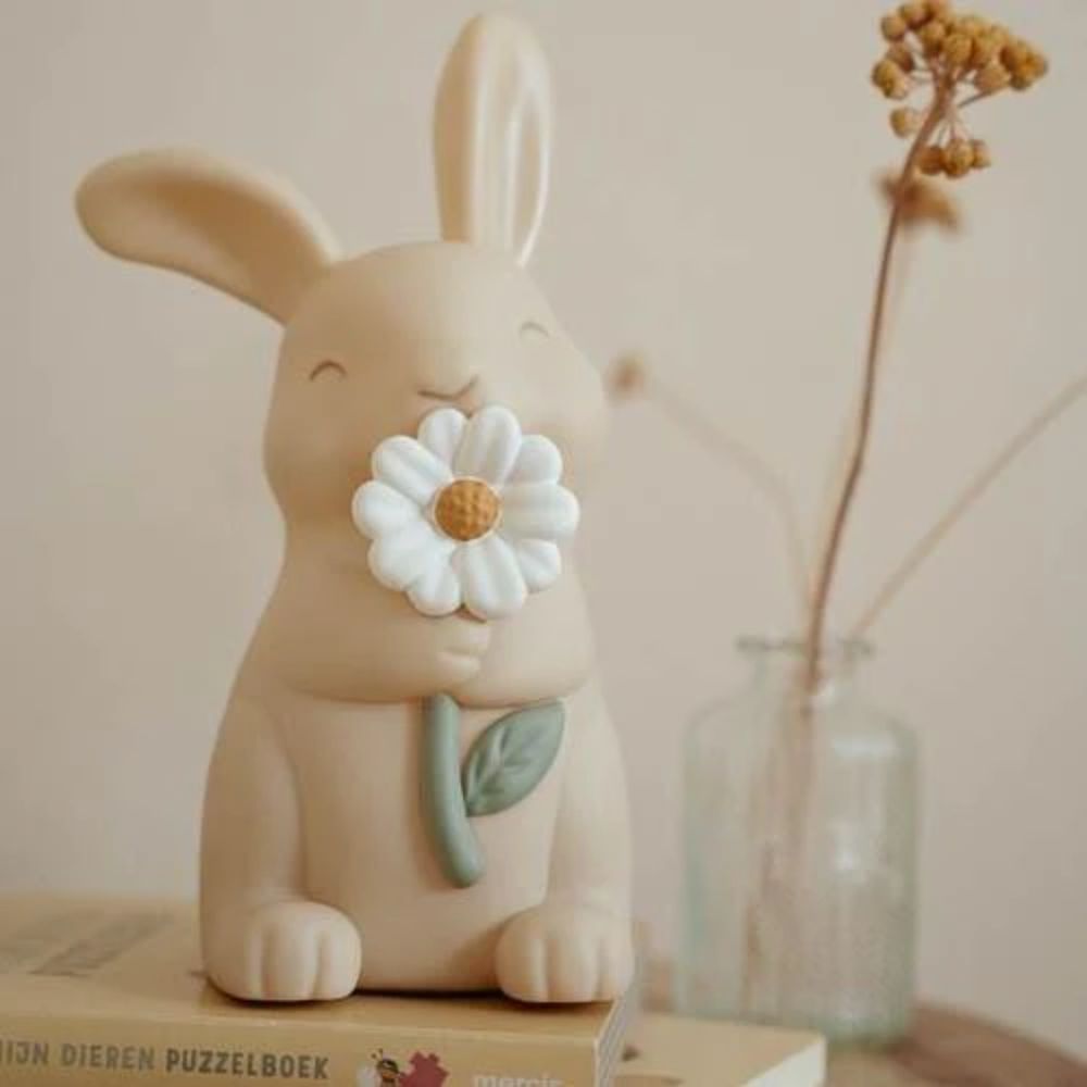 Little Dutch Baby Nightlight