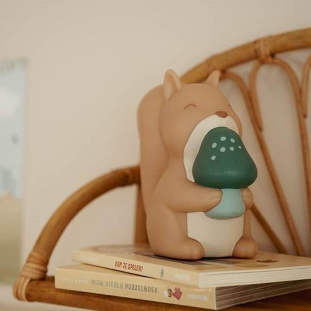 Little Dutch Baby Nightlight