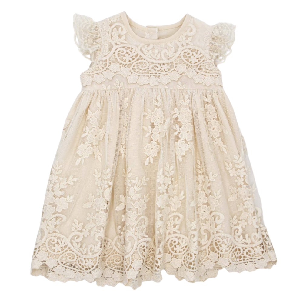 Meerkat Francis Vintage Lace Short Sleeve Dress