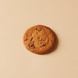 Large Chocolate Chip Biscuit Jar (1.4kg)