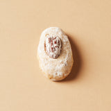 Pecan Nut Shortbread Biscuit Box (200g)