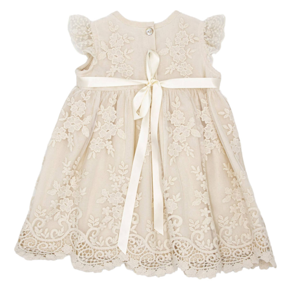 Meerkat Francis Vintage Lace Short Sleeve Dress