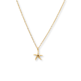 Sea Star Necklace