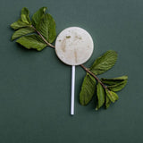 Collagen Lollipops Singles