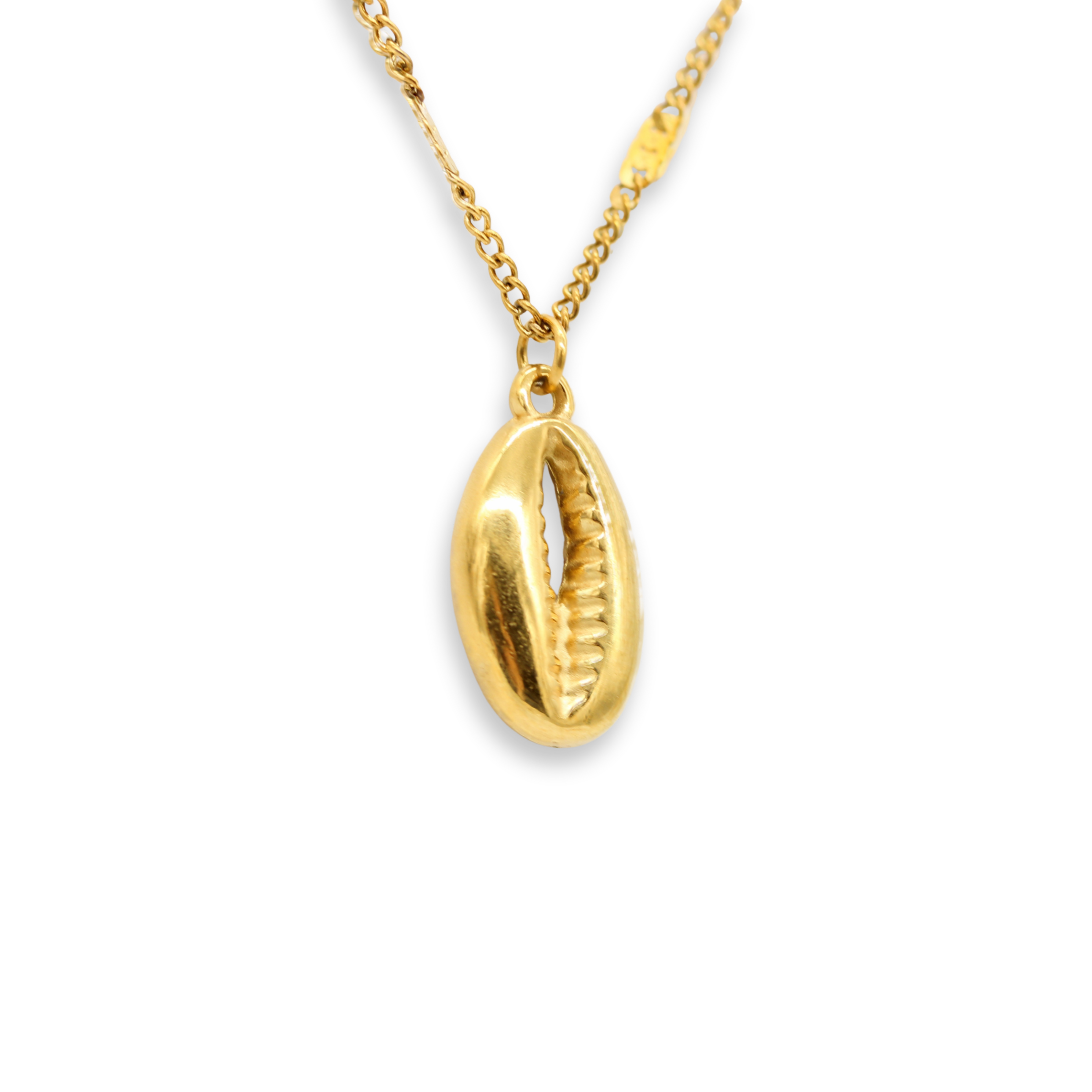 Cowry Shell Necklace