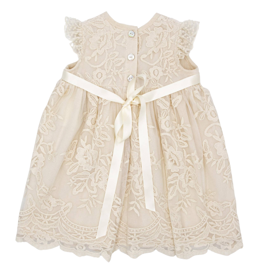 Meerkat Nina Vintage Lace Short Sleeve Dress