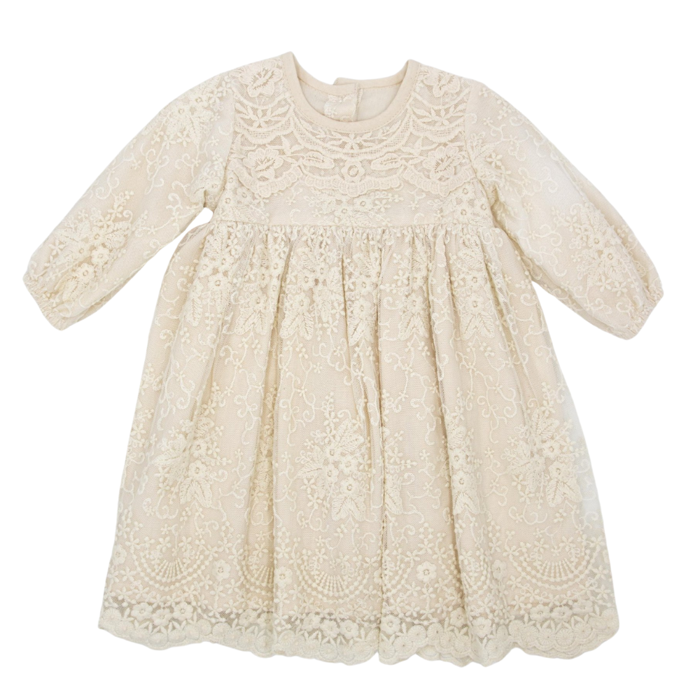 Meerkat Viola Vintage Lace Long Sleeve Dress