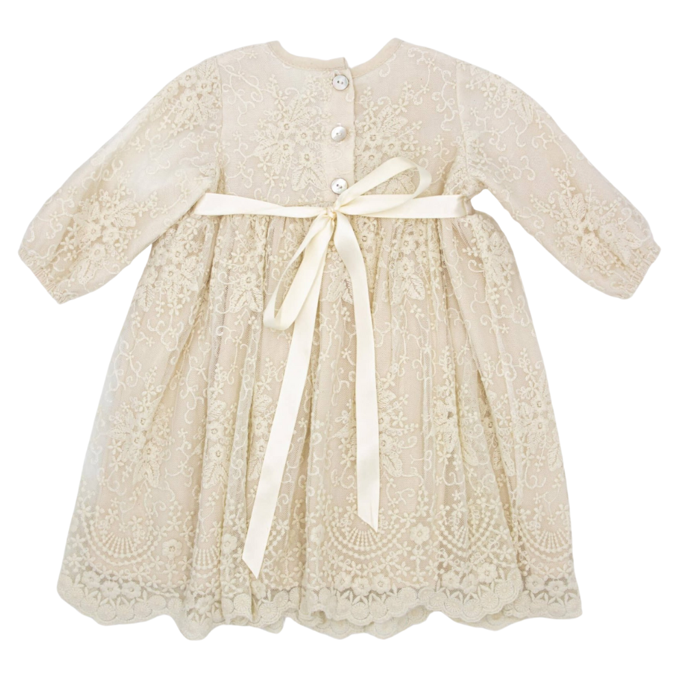Meerkat Viola Vintage Lace Long Sleeve Dress