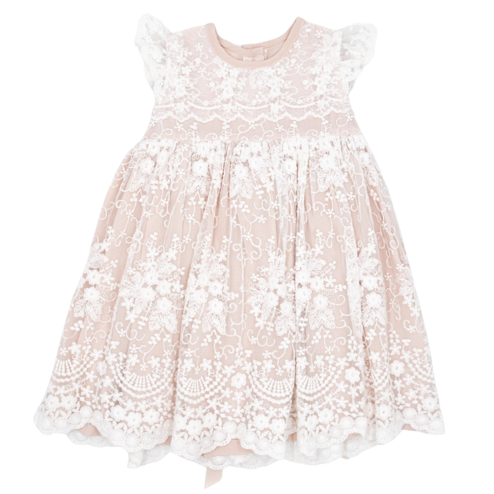 Meerkat Viola Vintage Lace Short Sleeve Dress
