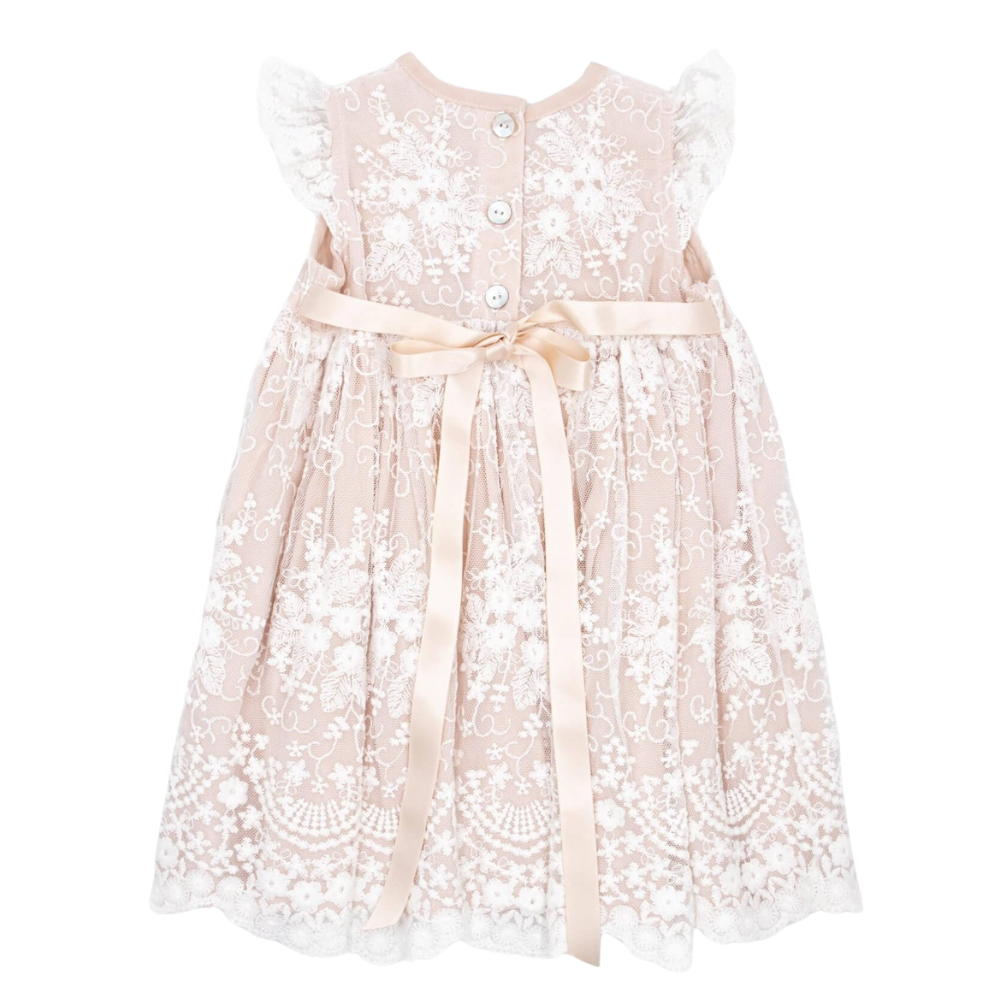 Meerkat Viola Vintage Lace Short Sleeve Dress