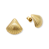 Medium Seashell Studs