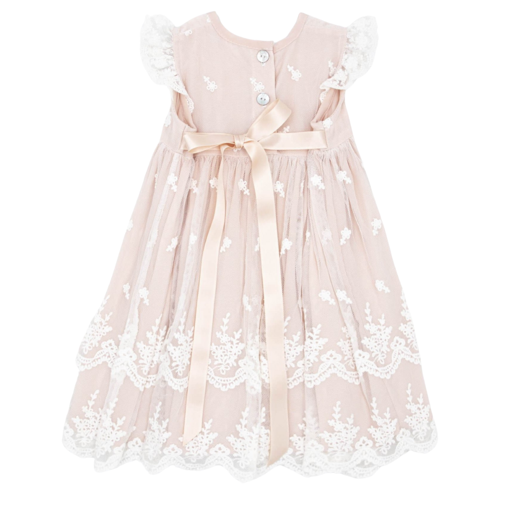 Meerkat - Anya Vintage Lace Short Sleeve Dress