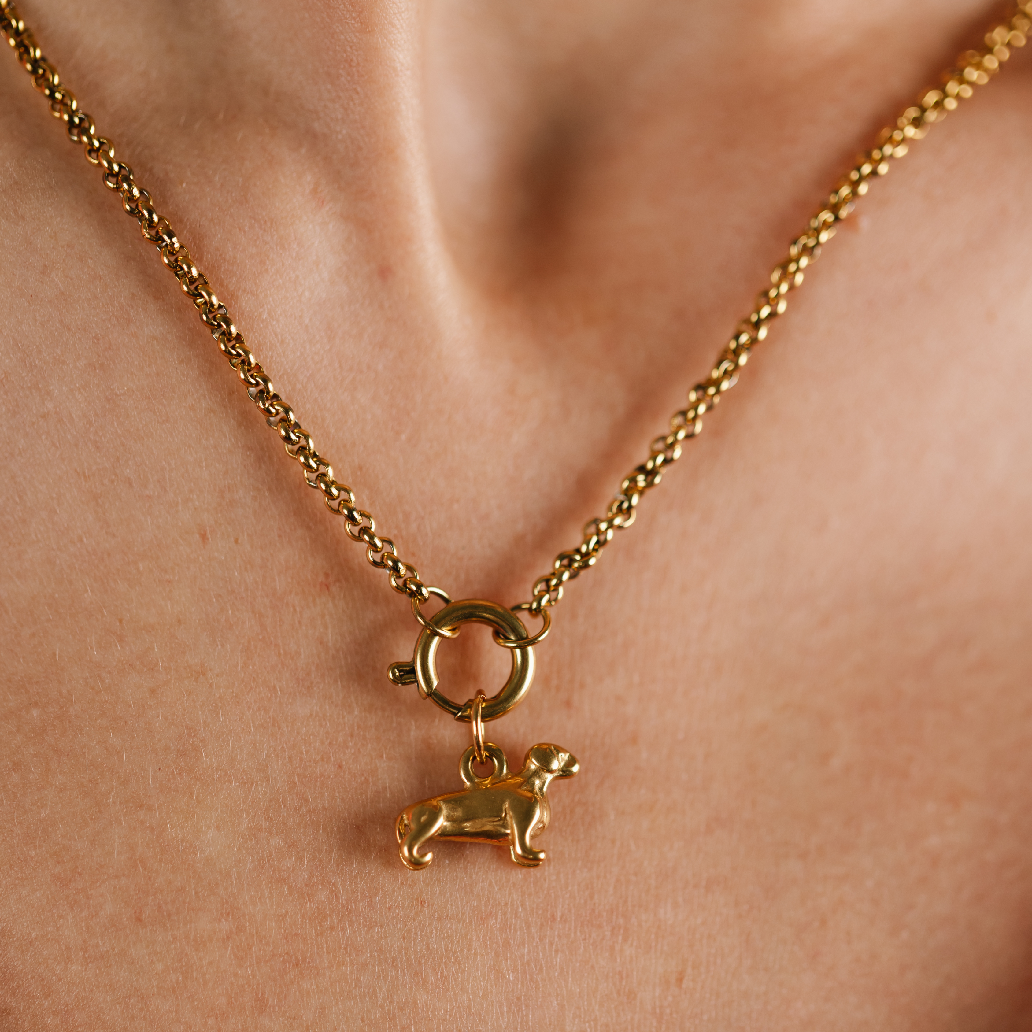 Dachshund Dangly Charm