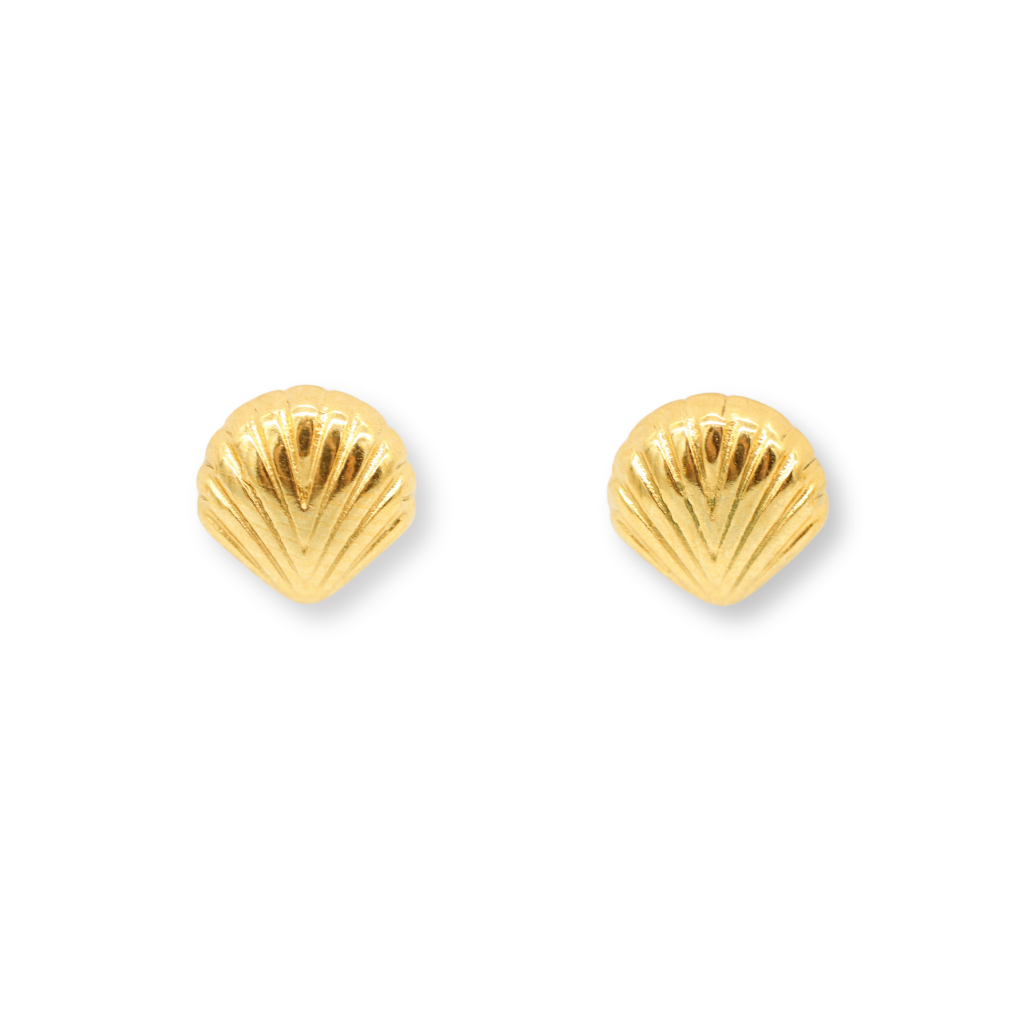 Small Seashell Studs