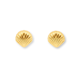 Small Seashell Studs