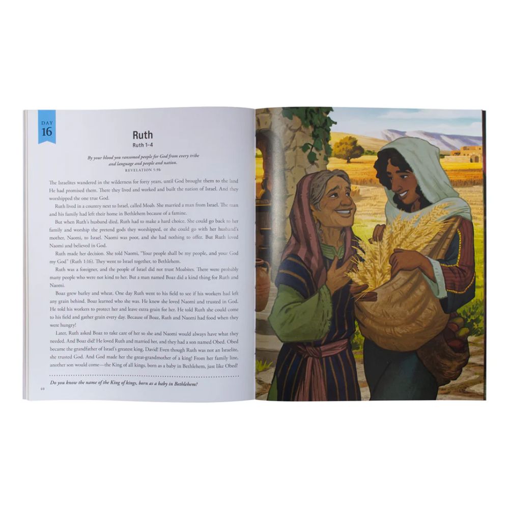 Why Jesus Came: 25 Bible Stories Showing Why God Sent His Son PB