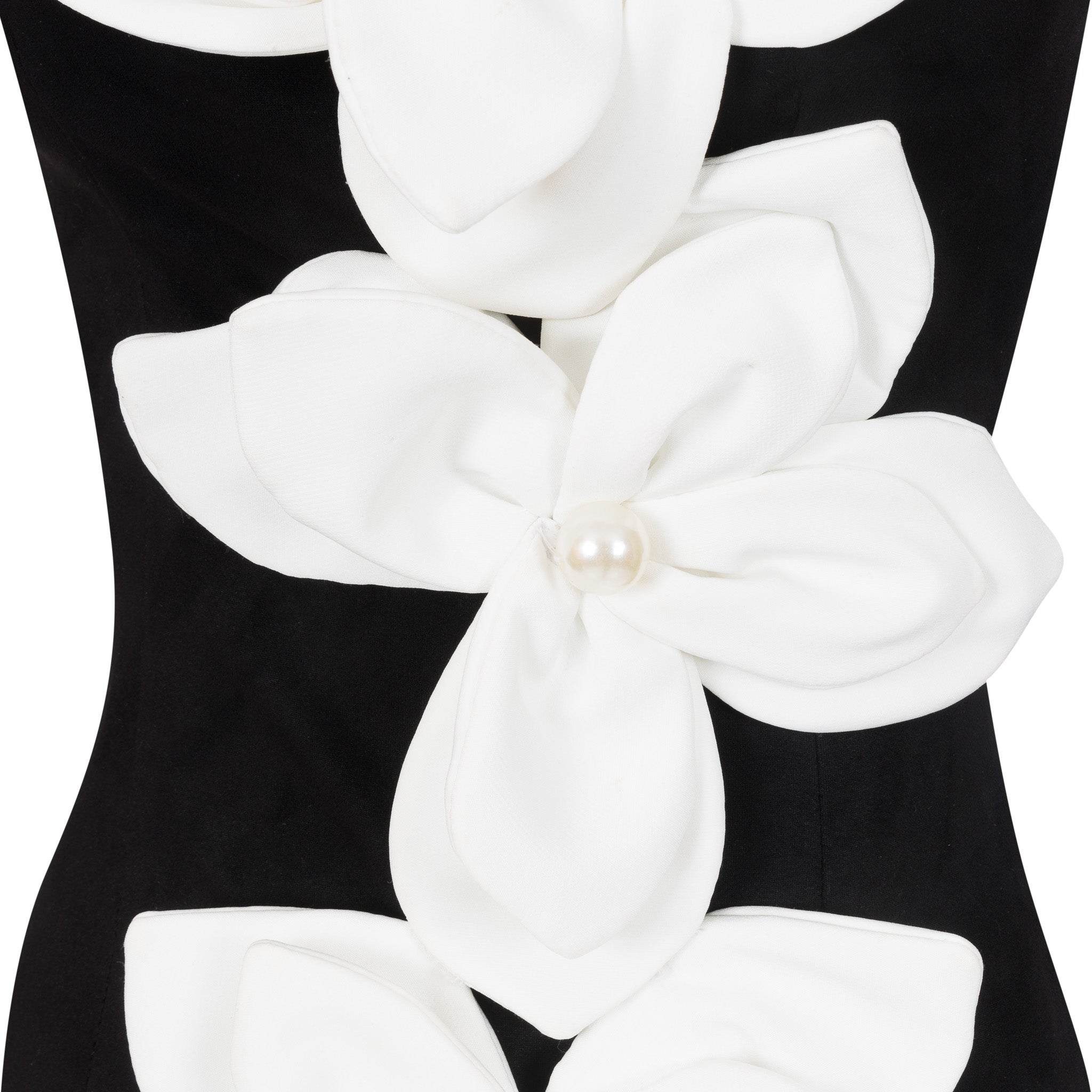 LaRose Monochrome dress