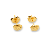 Small Seashell Studs