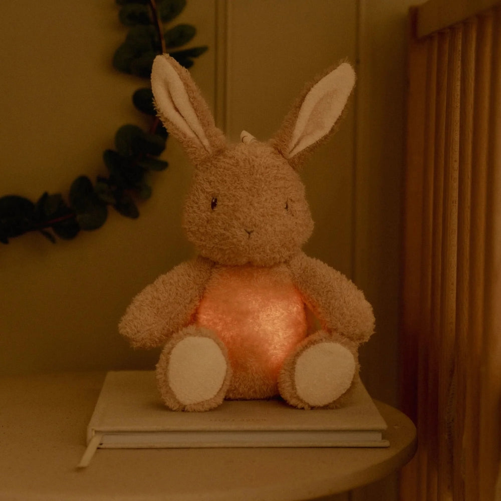 Little Dutch Cuddle Light & Sound