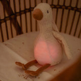 Little Dutch Cuddle Light & Sound