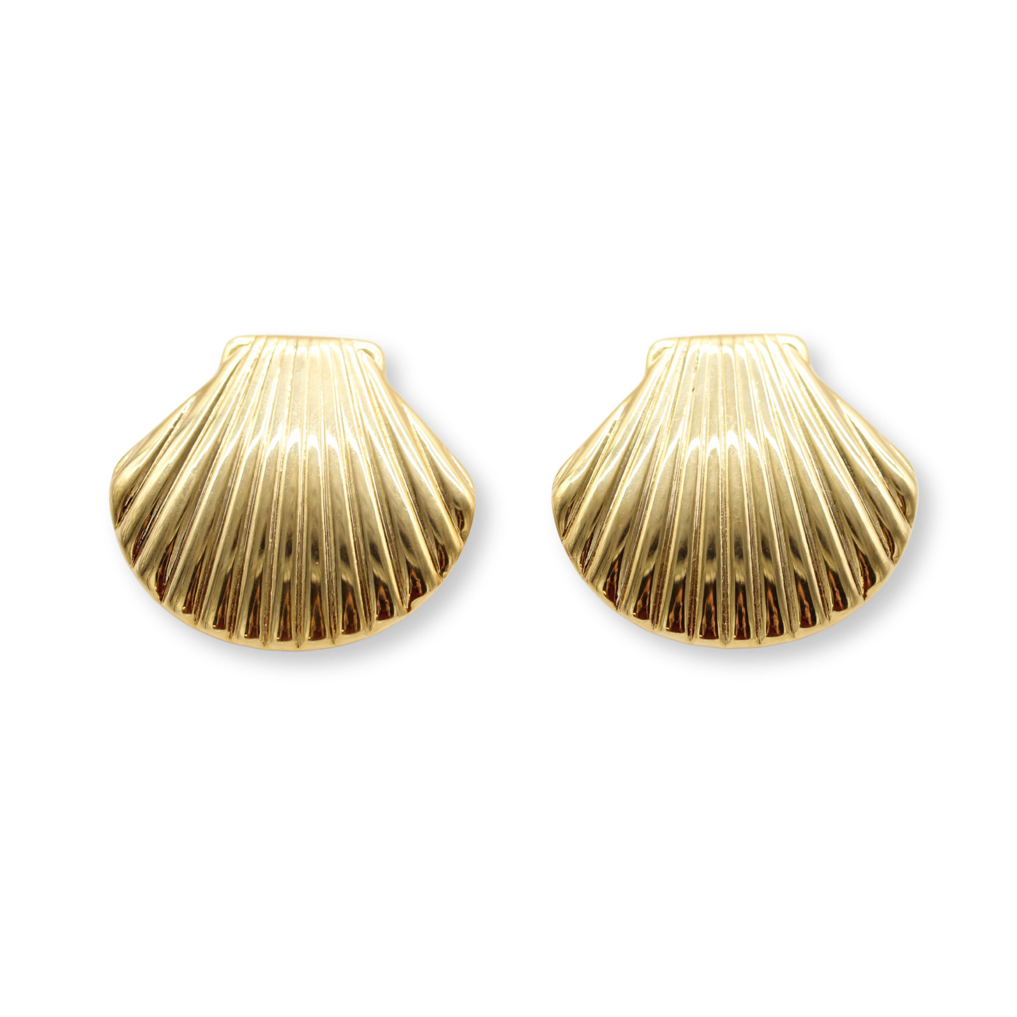 Large Seashell Studs