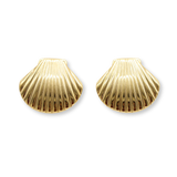 Large Seashell Studs