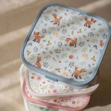 Little Dutch Bento Lunch Box Campus