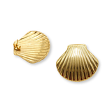 Large Seashell Studs