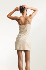 Akhela Sequin Mini Dress