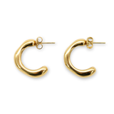 Sculpted Earrings