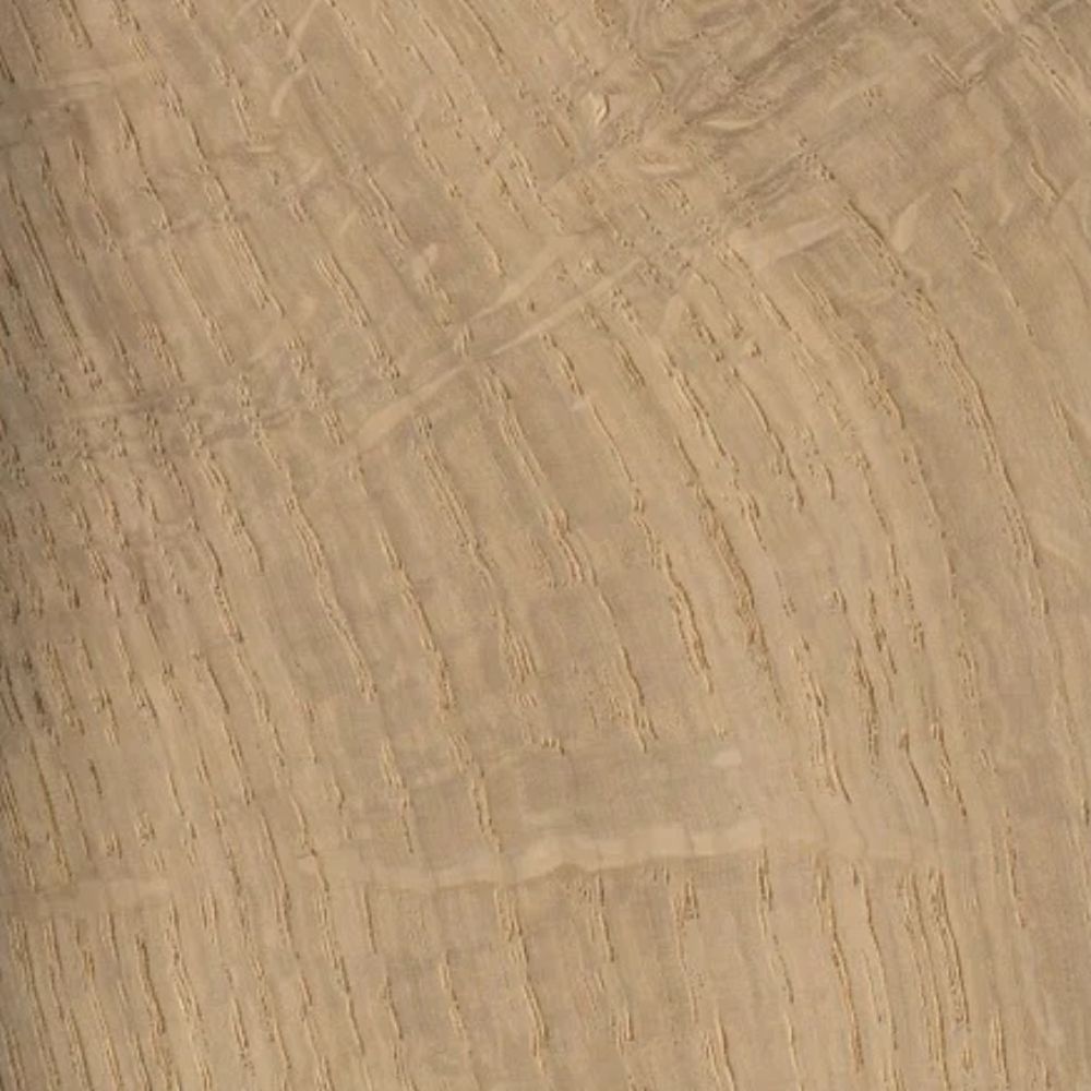 Little Zulik Connection Kids Chair