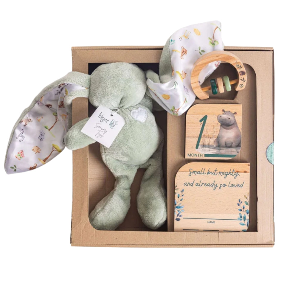 GrowBaby X Tiger Lily Gift Set