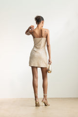 Akhela Sequin Mini Dress