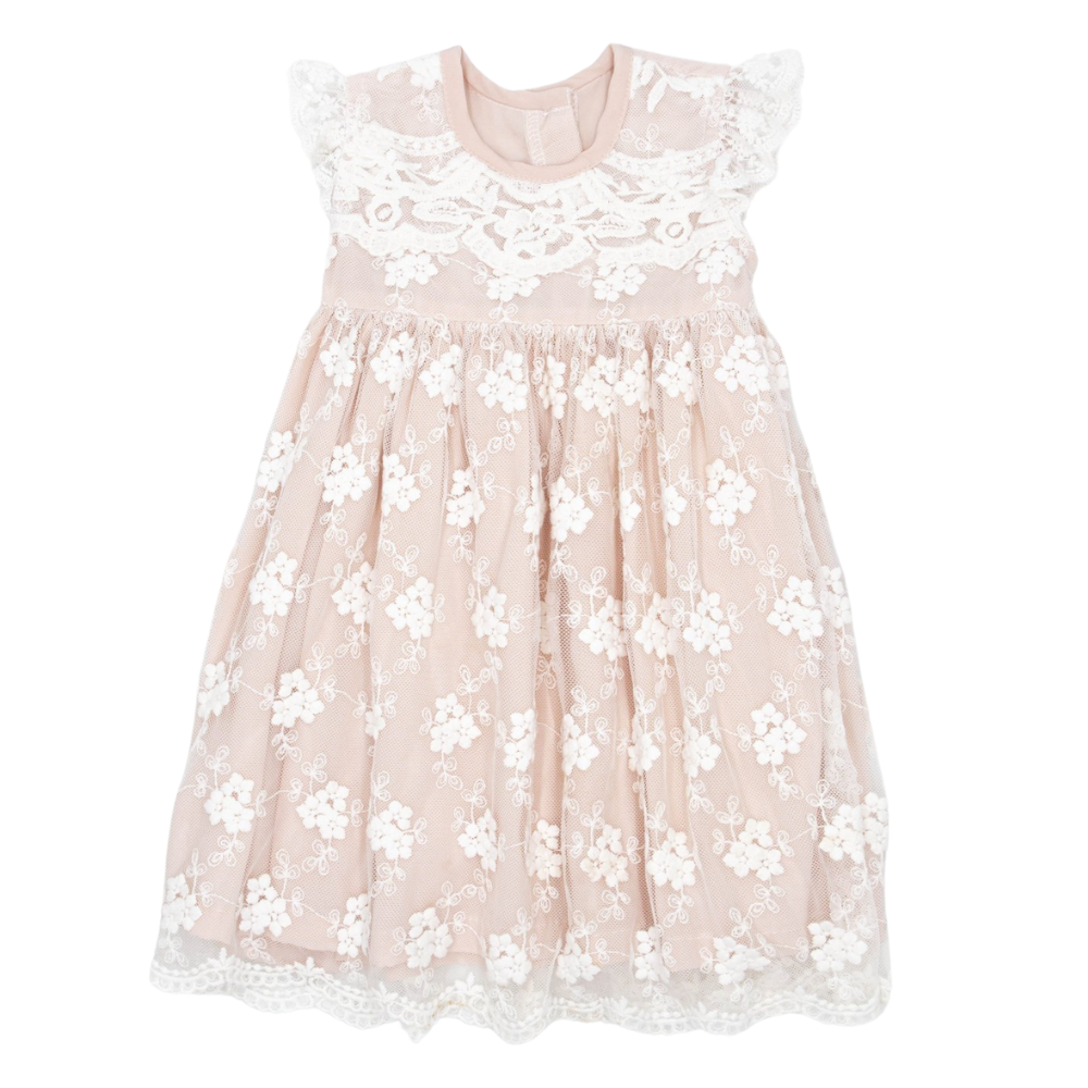 Meerkat Daisy Vintage Lace Short Sleeve Dress