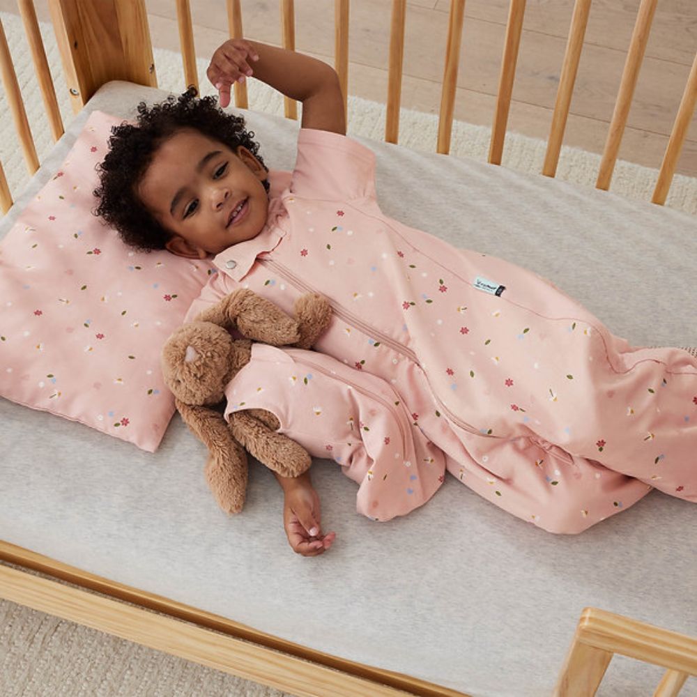 ErgoPouch Organic Toddler Pillow & Case