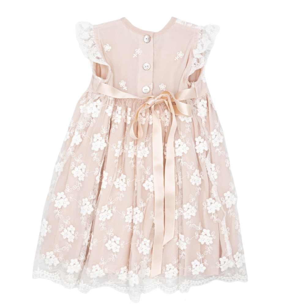 Meerkat Daisy Vintage Lace Short Sleeve Dress
