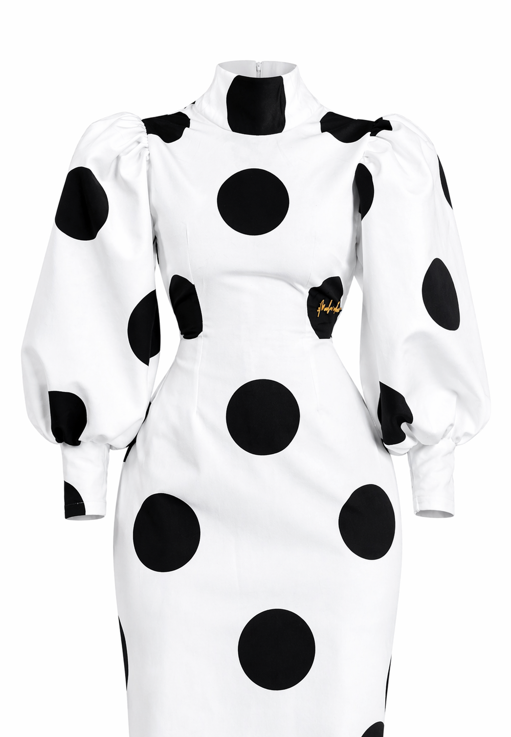 Polka Poise Maxi Dress