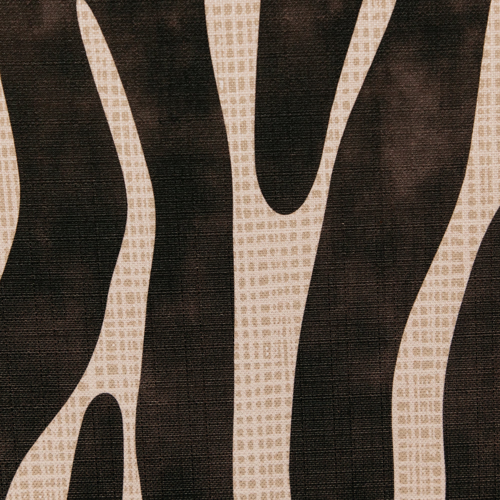 A Desert Story Wall Art — Black & White