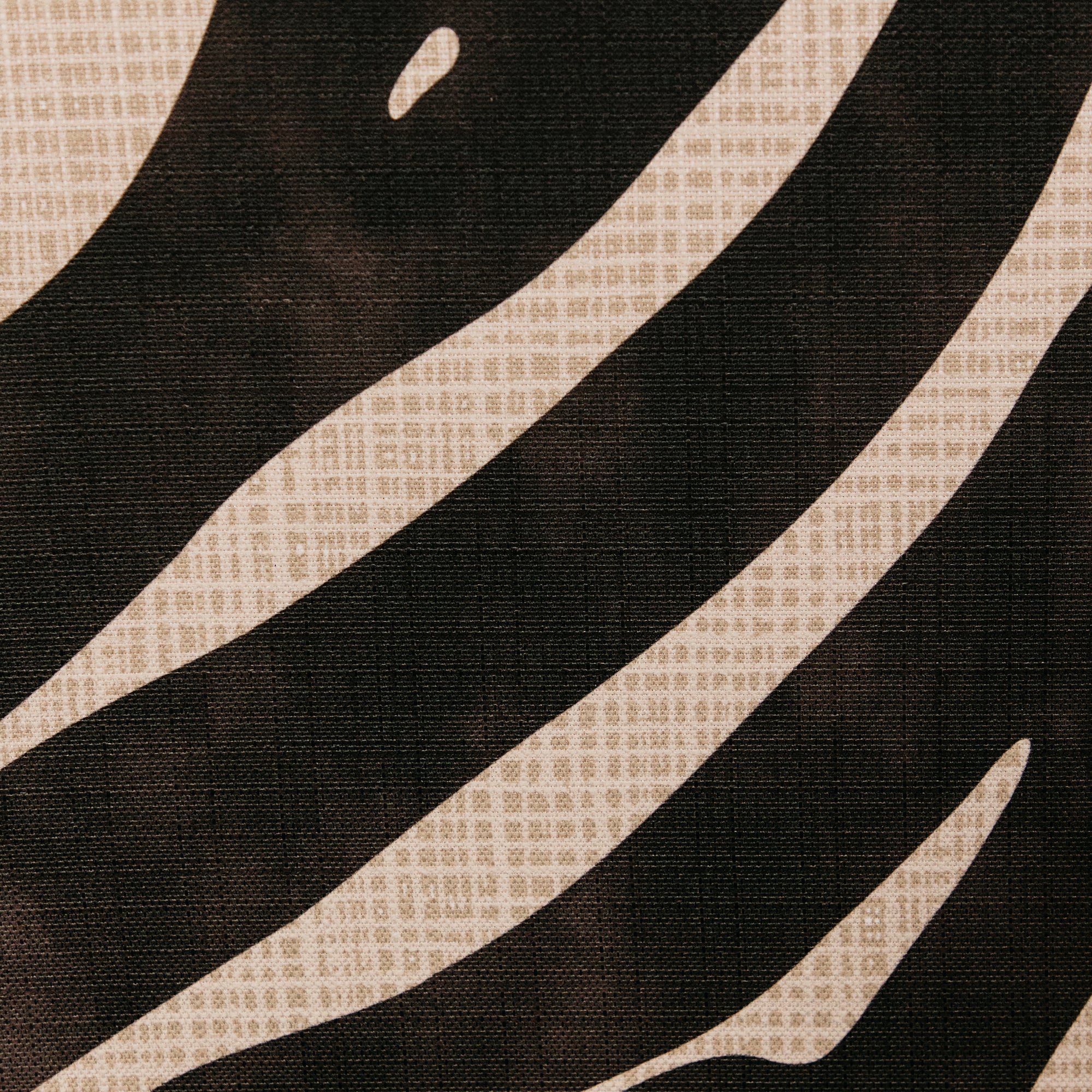 A Desert Story Wall Art — Black & White