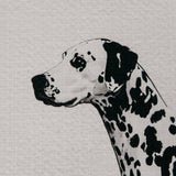 A Special Arrangement Wall Art — Black & White