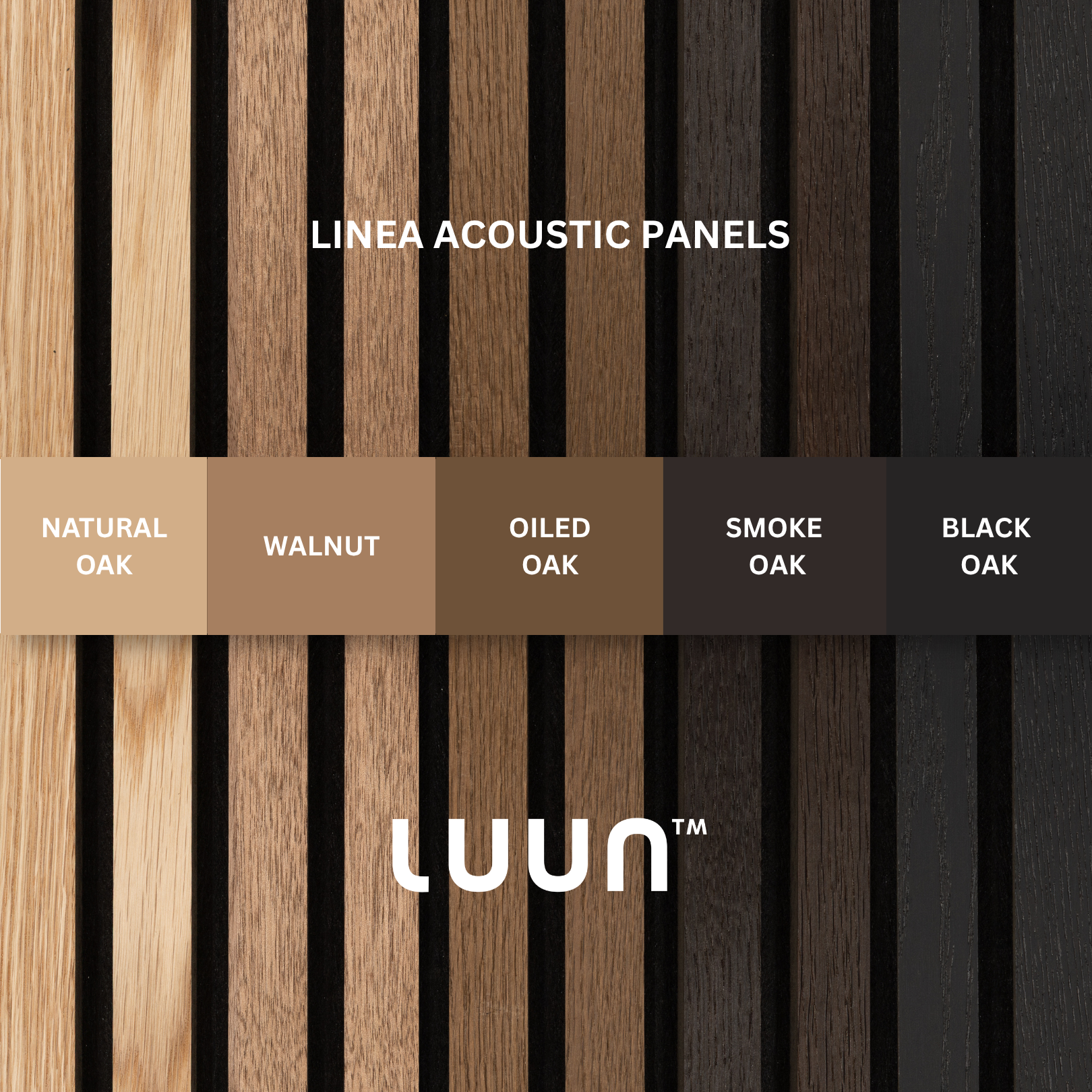 Linea Discovery Pack - 5-Piece Acoustic Sample Suite