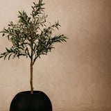 Addo Planter